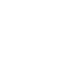 Team Spirit