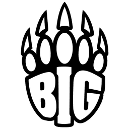 BIG Academy