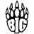 BIG Academy