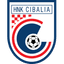 Cibalia